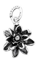 Charm Giovanni Raspini Donna Charms in Argento 07760 - 07760